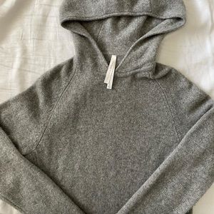 Cashmere Babaton Hoodie